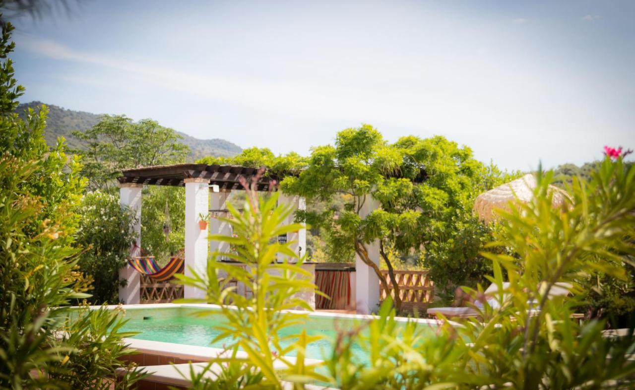 Hacienda El Tarajal Hotel Priego de Córdoba Kültér fotó
