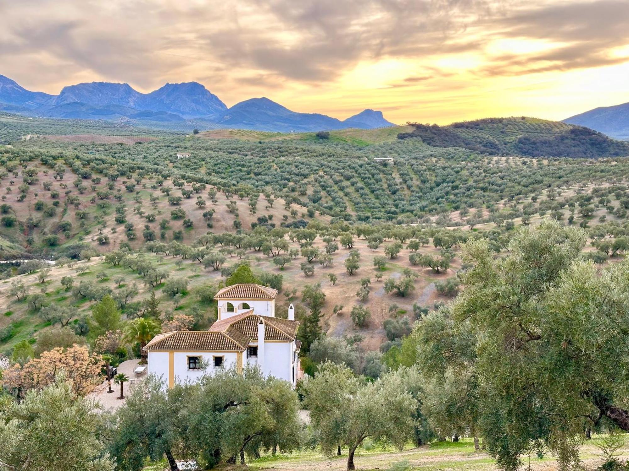 Hacienda El Tarajal Hotel Priego de Córdoba Kültér fotó