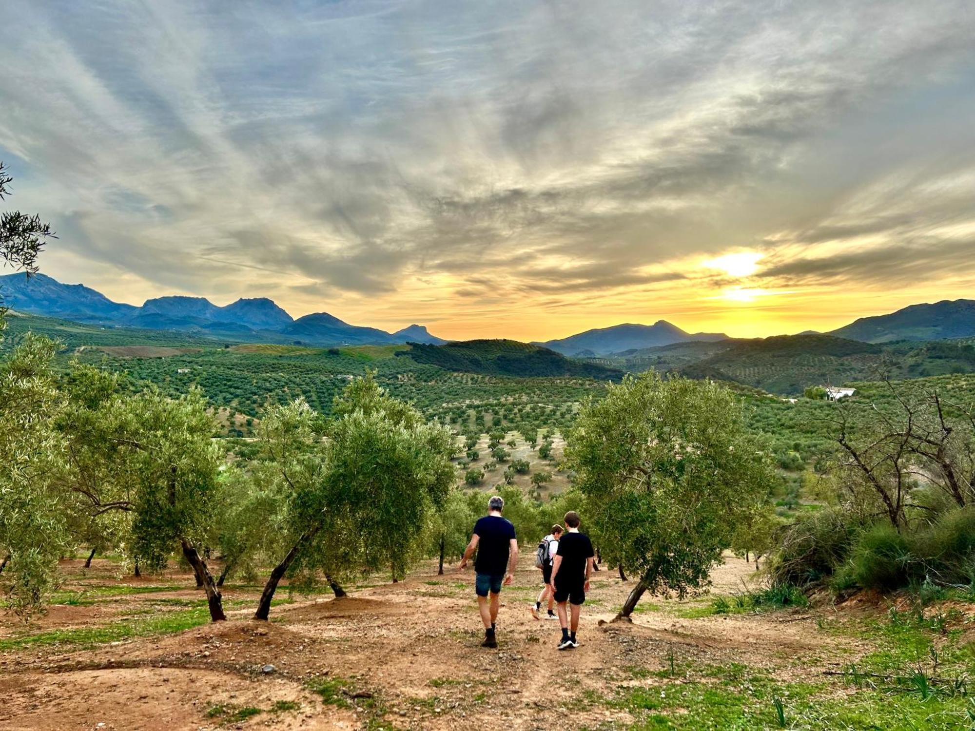 Hacienda El Tarajal Hotel Priego de Córdoba Kültér fotó